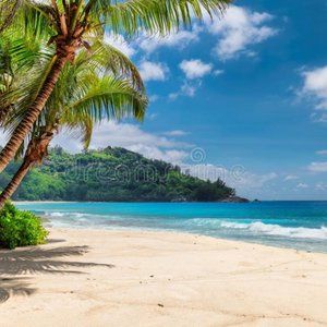 Meet your Posher, Mckenna